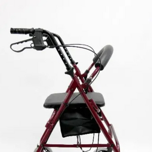 R-4600 Lightweight Standard Rollator with Padded Seat and Backrest