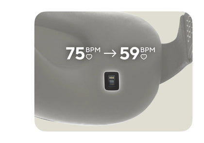 Therabody SmartGoggles™Gen 2
